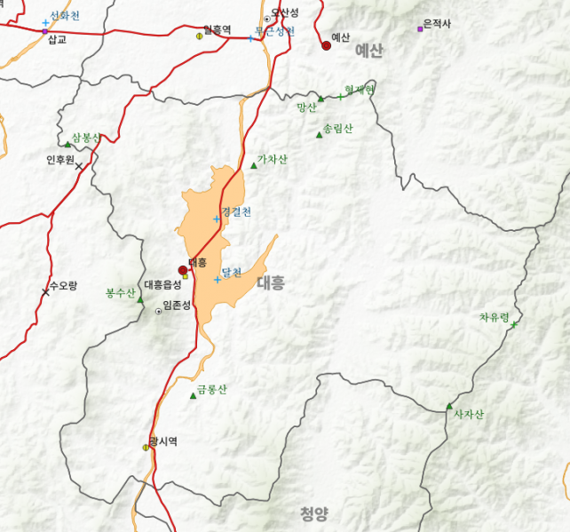 파일:충청 대흥 대동여지도 복원.png